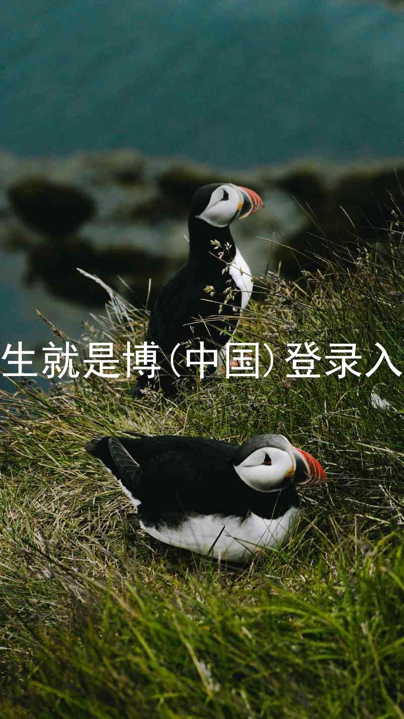 人生就是博(中国)登录入口